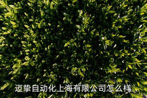 上海市邁盛智能科技怎么樣，上海邁取信息科技有限公司怎么樣