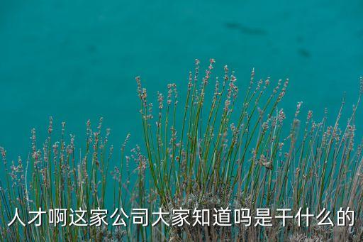 人才啊這家公司大家知道嗎是干什么的