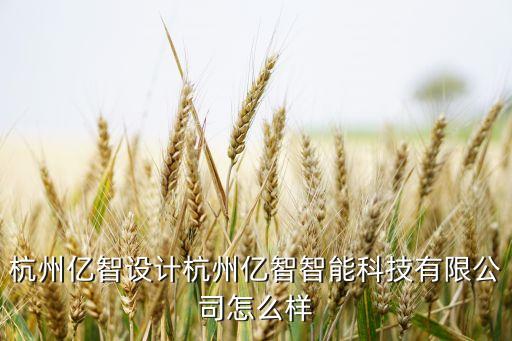 杭州億智設(shè)計杭州億智智能科技有限公司怎么樣