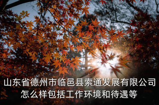 臨邑蘭劍智能科技怎么樣，山東省德州市臨邑縣索通發(fā)展有限公司怎么樣包括工作環(huán)境和待遇等