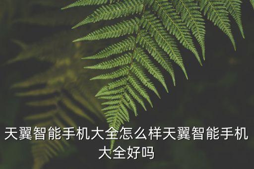 天翼智能手機(jī)大全怎么樣天翼智能手機(jī)大全好嗎
