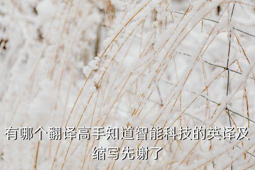 有哪個翻譯高手知道智能科技的英譯及縮寫先謝了