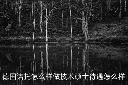諾托智能科技怎么樣，諾托這個(gè)德國公司怎么樣啊待遇方面和美國的固安捷比較呢  搜