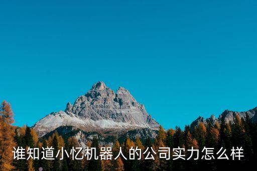 雙木智能科技怎么樣，誰(shuí)知道小憶機(jī)器人的公司實(shí)力怎么樣