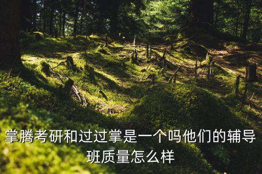 掌騰考研和過過掌是一個(gè)嗎他們的輔導(dǎo)班質(zhì)量怎么樣