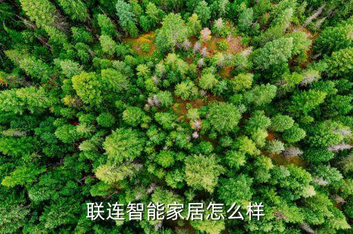 聯(lián)連智能家居怎么樣