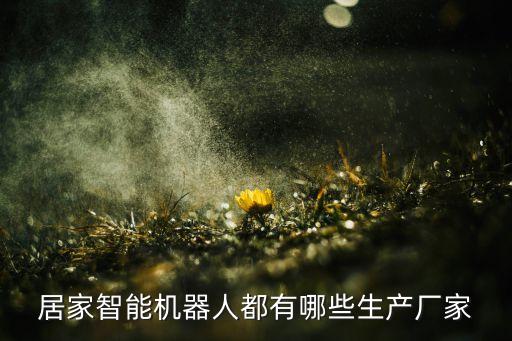 居家智能機(jī)器人都有哪些生產(chǎn)廠家