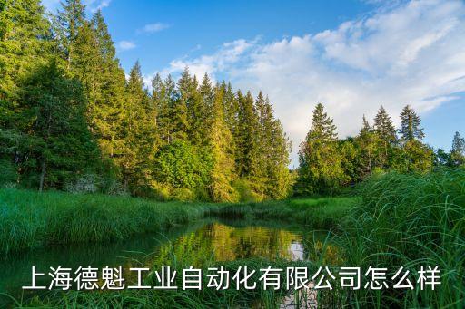 上海德豈智能科技做什么的，智業(yè)科技主要是做什么的