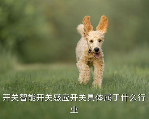 開關(guān)智能開關(guān)感應(yīng)開關(guān)具體屬于什么行業(yè)