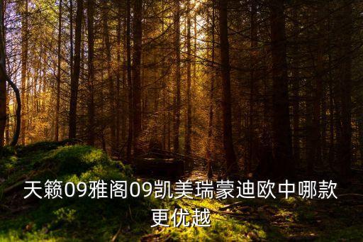 天籟09雅閣09凱美瑞蒙迪歐中哪款更優(yōu)越