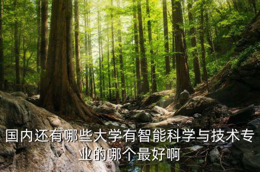 國內(nèi)還有哪些大學有智能科學與技術(shù)專業(yè)的哪個最好啊