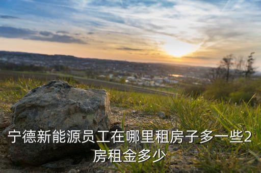 寧德新能源員工在哪里租房子多一些2房租金多少