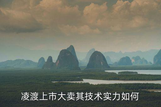 凌渡上市大賣其技術(shù)實力如何