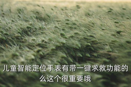 兒童智能定位手表有帶一鍵求救功能的么這個(gè)很重要哦