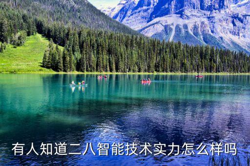有人知道二八智能技術實力怎么樣嗎