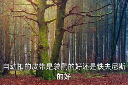 智能黑科技腰帶哪個(gè)好，自動(dòng)扣的皮帶是袋鼠的好還是鐵夫尼斯的好