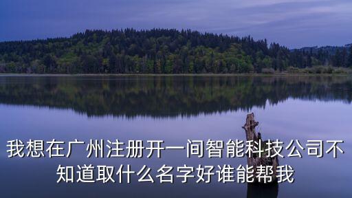 我想在廣州注冊開一間智能科技公司不知道取什么名字好誰能幫我