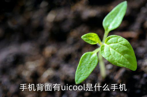 手機(jī)背面有uicool是什么手機(jī)