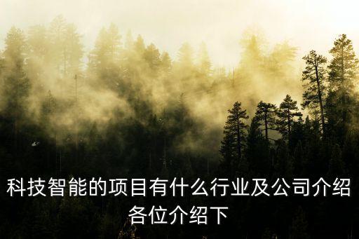 科技智能的項(xiàng)目有什么行業(yè)及公司介紹各位介紹下