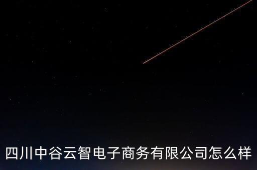 四川中谷云智電子商務(wù)有限公司怎么樣