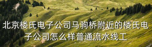 北京樓氏電子公司馬駒橋附近的樓氏電子公司怎么樣普通流水線工