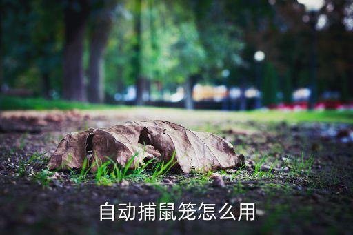 科技達(dá)人智能捕鼠器怎么用，自動捕鼠籠怎么用