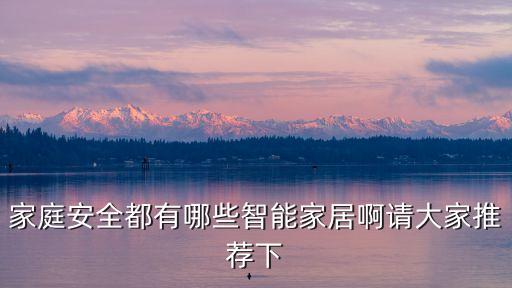 家庭安全都有哪些智能家居啊請大家推薦下