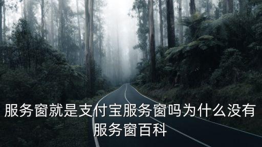 智能科技服務窗口是什么，服務窗就是支付寶服務窗嗎為什么沒有服務窗百科