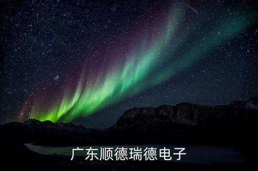 廣東順德瑞德電子