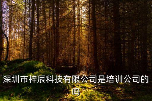 深圳市梓辰科技有限公司是培訓(xùn)公司的嗎