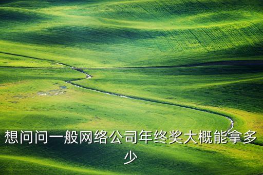 想問問一般網(wǎng)絡(luò)公司年終獎大概能拿多少