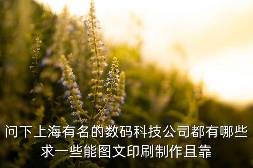 問(wèn)下上海有名的數(shù)碼科技公司都有哪些求一些能圖文印刷制作且靠
