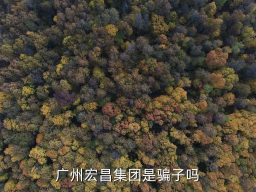 廣州宏昌集團(tuán)是騙子嗎