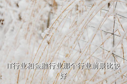 IT行業(yè)和金融行業(yè)那個(gè)行業(yè)前景比較好