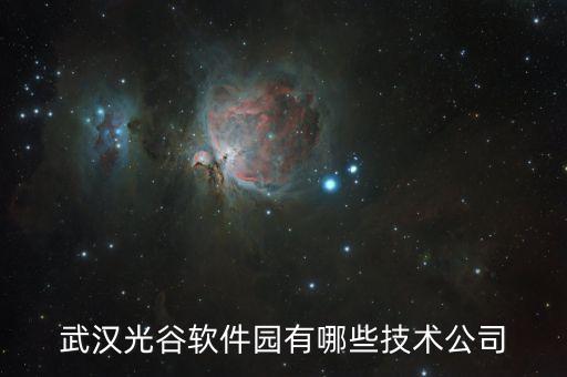 光谷智能科技公司有哪些，武漢光谷科技園有哪些公司