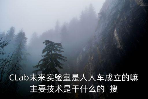 CLab未來實驗室是人人車成立的嘛主要技術是干什么的  搜