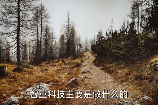 智業(yè)科技主要是做什么的