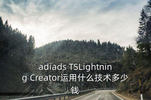 明意湖智能科技工資多少，adiads TSLightning Creator運(yùn)用什么技術(shù)多少錢