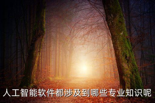軟件科技智能技術(shù)有哪些，計(jì)算機(jī)軟件技術(shù)包括那些