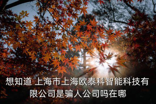 想知道 上海市上海歐泰科智能科技有限公司是騙人公司嗎在哪