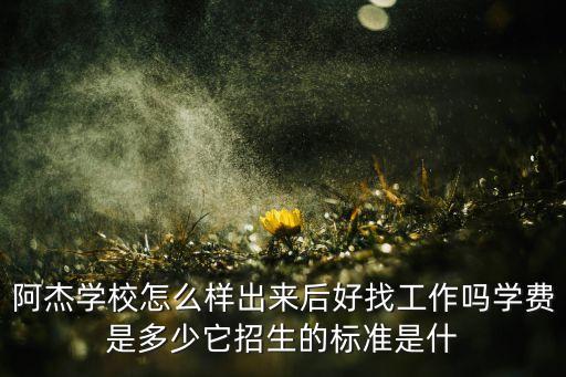 阿杰智能科技怎么樣，阿杰學(xué)校怎么樣出來后好找工作嗎學(xué)費(fèi)是多少它招生的標(biāo)準(zhǔn)是什
