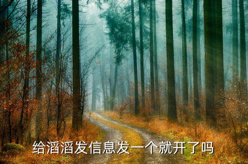 給滔滔發(fā)信息發(fā)一個(gè)就開(kāi)了嗎