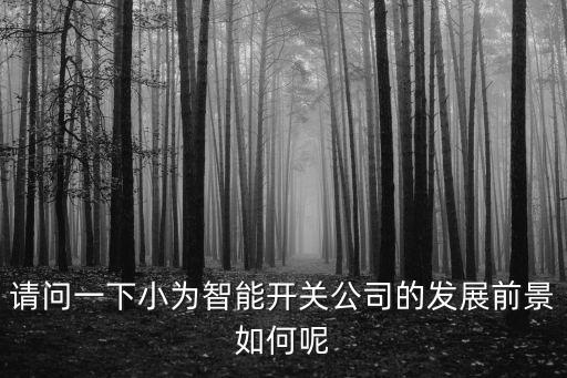 請問一下小為智能開關(guān)公司的發(fā)展前景如何呢