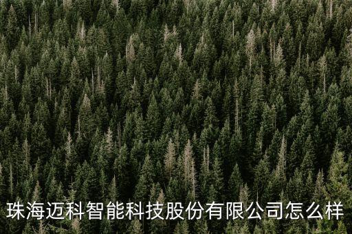 珠海邁科智能科技股份有限公司怎么樣