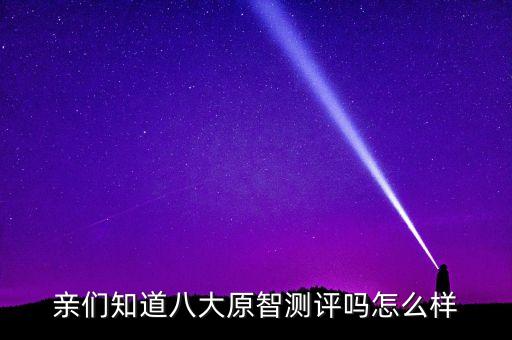 原渡智能科技怎么樣，唯渡科技怎么樣好不好的默認(rèn)點(diǎn)評(píng)