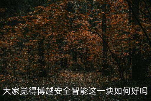 大家覺(jué)得博越安全智能這一塊如何好嗎