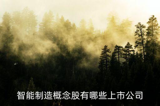 智能制造科技公司有哪些，做智能科技比較厲害的公司有哪些求推薦下