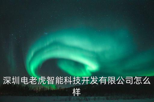 深圳電老虎智能科技開發(fā)有限公司怎么樣