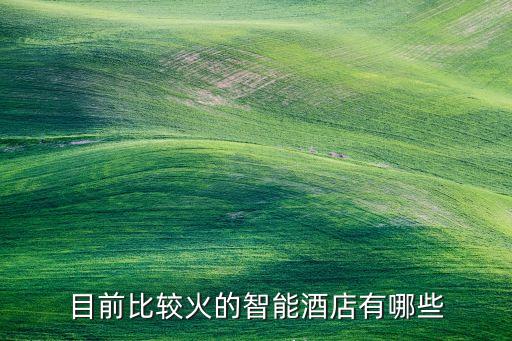 目前比較火的智能酒店有哪些