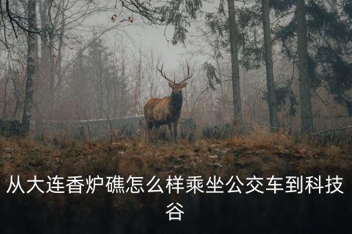 從大連香爐礁怎么樣乘坐公交車到科技谷